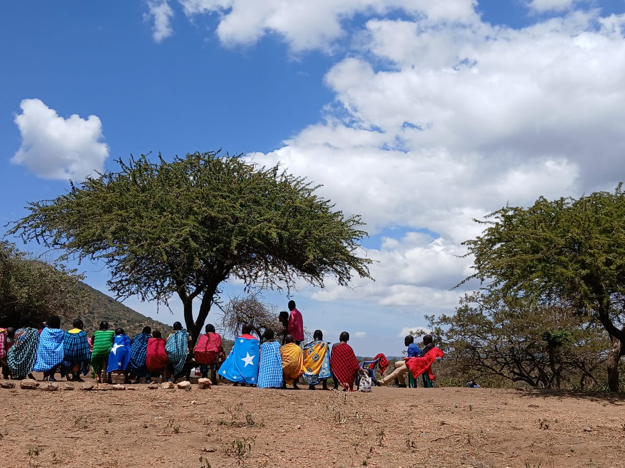시편 23:1-3 말씀을 묵상하며 작성된 하나님의 인도하심 - 선교사 묵상 이미지